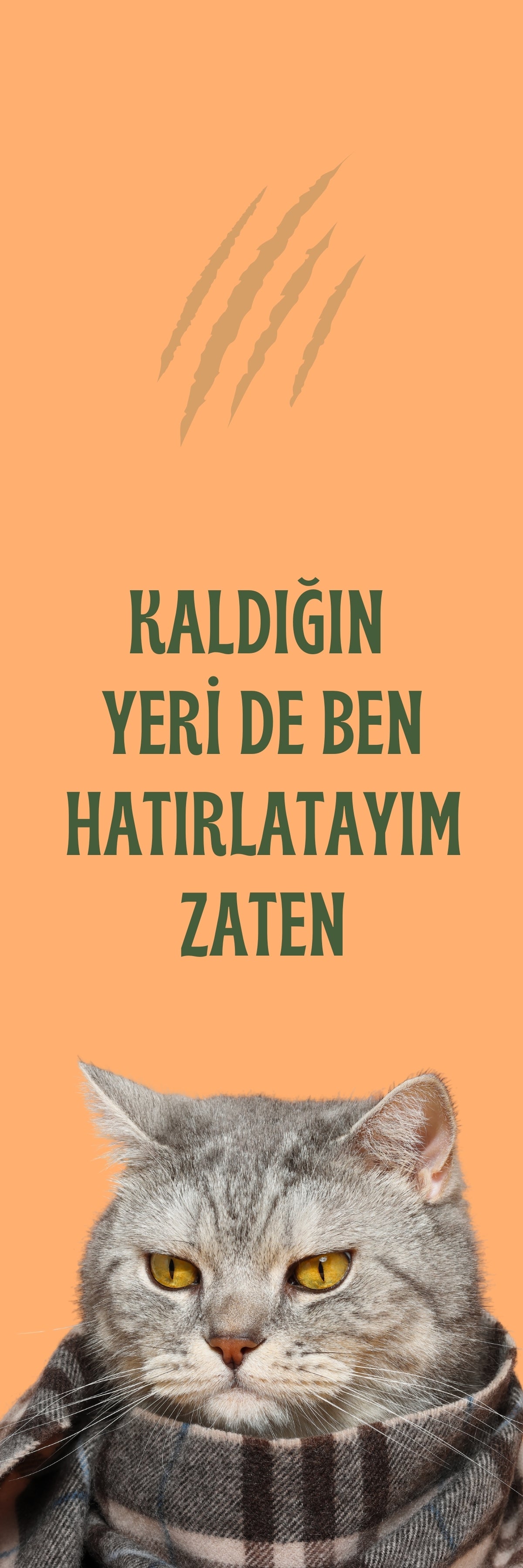 Mırıl Ayraçlar - 5 adet