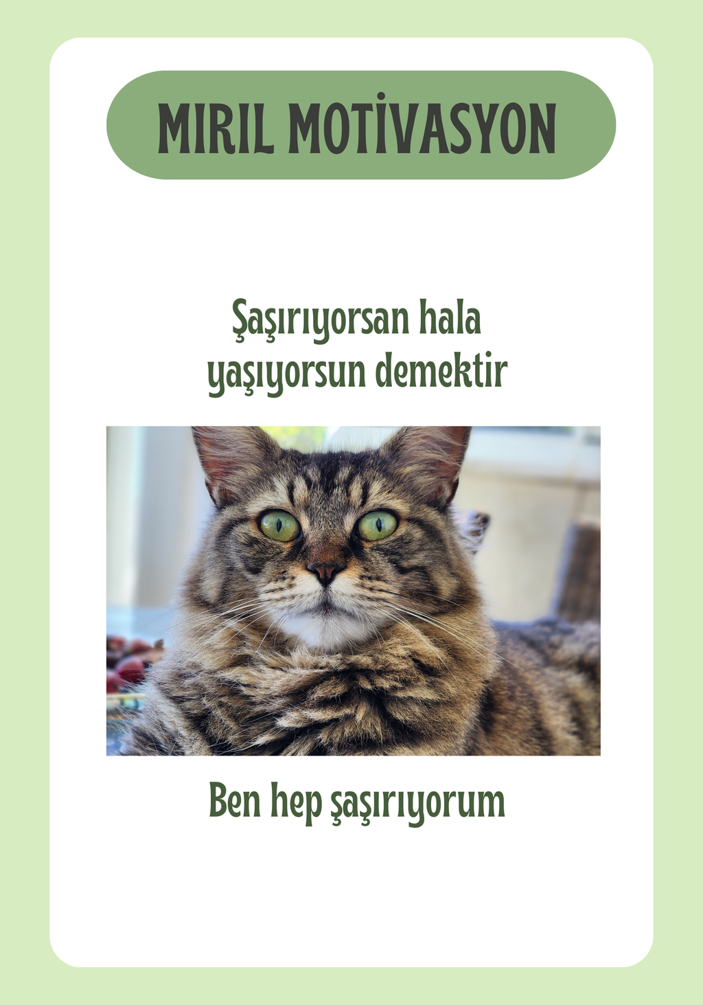 Mırıl Motivasyon Kartları