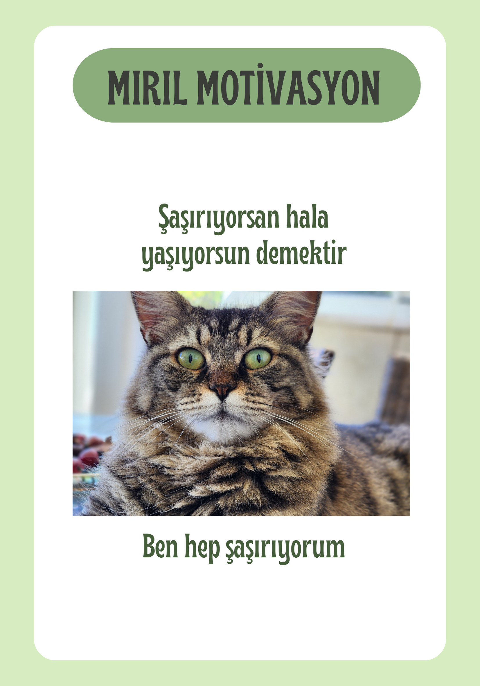 Mırıl Motivasyon Kartları