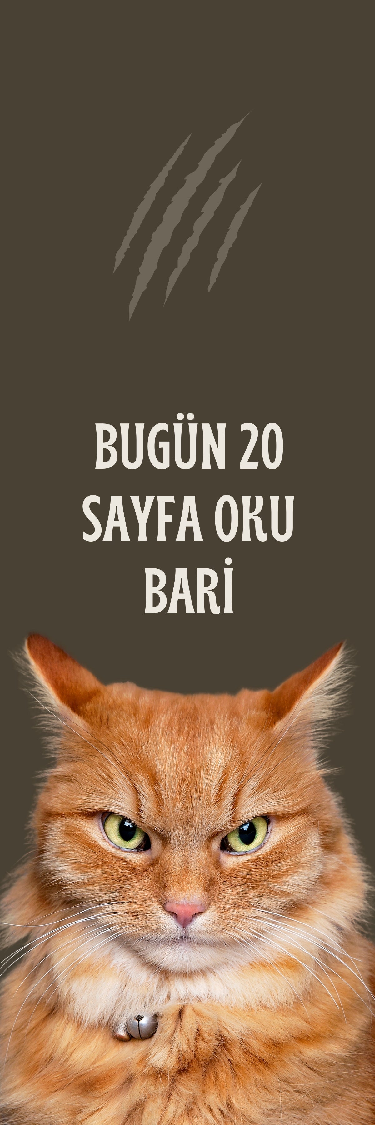 Mırıl Ayraçlar - 5 adet