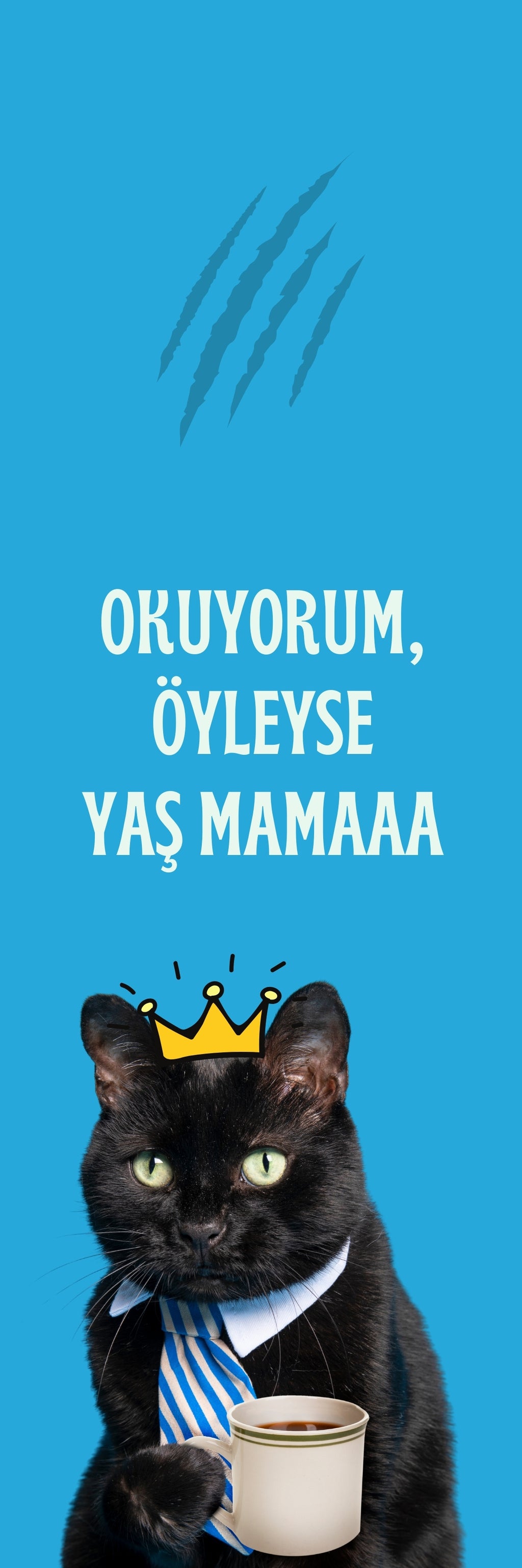 Mırıl Ayraçlar - 5 adet