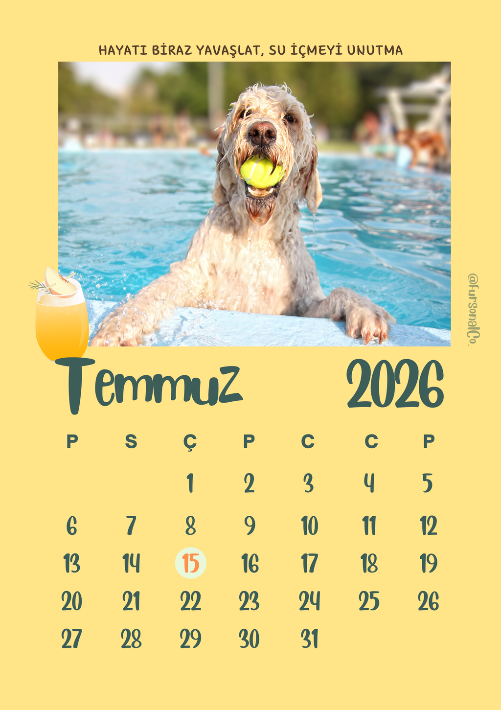 Mırıl Motivasyon Takvimim